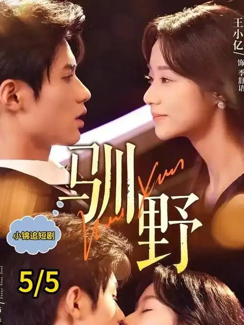 无声合唱团电影海报