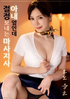 山河故人影电影海报